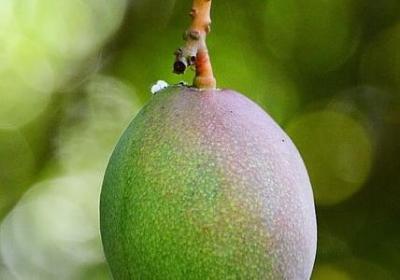 赵本山小品经典语录(推荐70句)