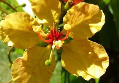 要工资的经典语录(热门80句)