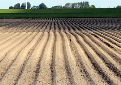 诚信的句子经典语录(通用80句)