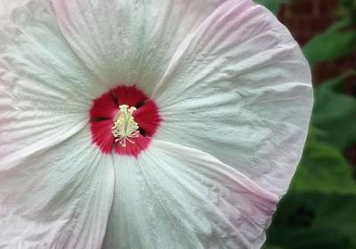 贺炜经典语录(优选60句)