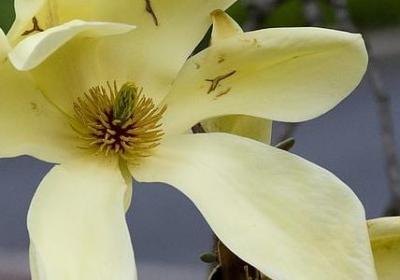 跟小人计较的经典语录(通用60句)