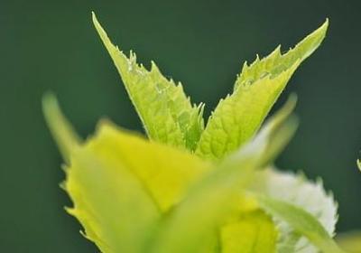 色戒经典语录(60句)