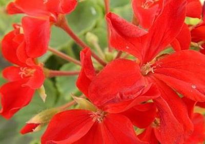 虚伪的朋友的经典语录(优选80句)