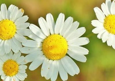 蜘蛛侠经典语录(必备50句)