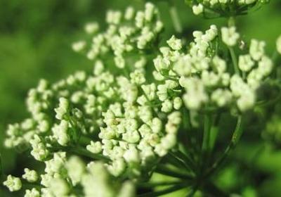 言情小说的经典语录(共70句)