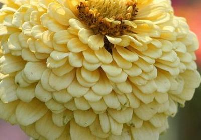 藏文经典语录(推荐18句)