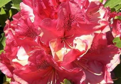 虚度人生的经典语录(80句)