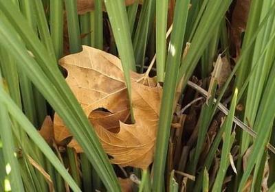 走自己的路经典语录(精选50句)