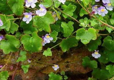 警察经典语录(热门40句)