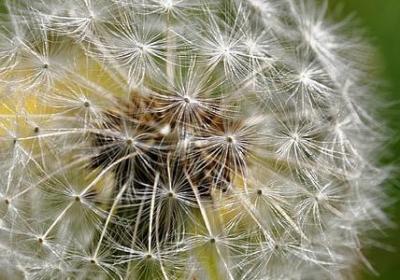 赵丽颖的经典语录(汇总39句)