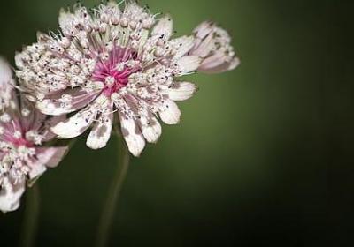 计较的太多经典语录(精选60句)