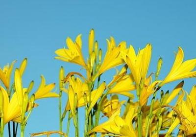 解忧杂货店的经典语录(69句)