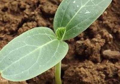 贬低拍马屁的经典语录(热门50句)