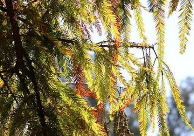 被晒黑的经典语录(推荐70句)