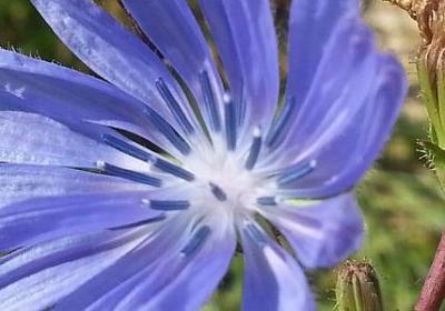 莫言说过的经典语录(精选50句)