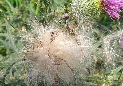 足球的魅力经典语录(汇总40句)