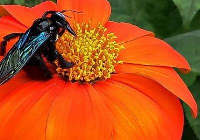 说到做不到的经典语录(共50句)