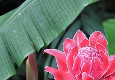 请放下手机的经典语录(优选50句)