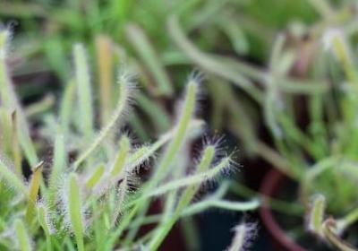 跟错了领导的经典语录(45句)