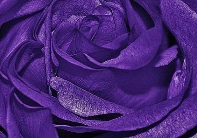 芥川龙之介经典语录(精选70句)