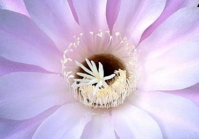 蒋丞经典语录(共20句)