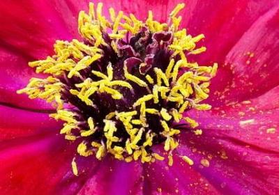 董卿说的13句经典语录(优选13句)