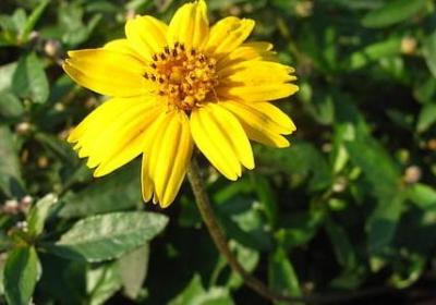 英雄志经典语录(共20句)