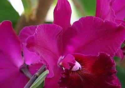 诚信经典语录(共80句)