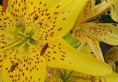 赞朋友圈的经典语录(实用89句)