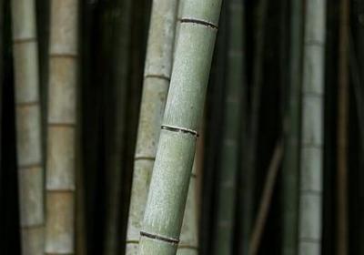 赵玉平经典语录(实用20句)