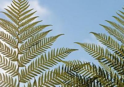 谢谢你曾来过我的世界经典语录(合集74句)