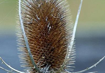 许家印经典语录(优选20句)