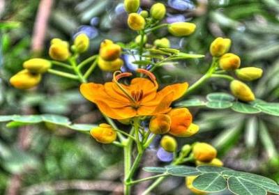 英语经典语录(热门40句)