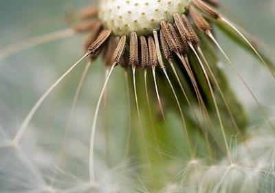 董明珠说过的经典语录(推荐40句)