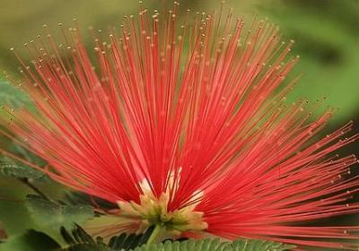 起风了经典语录(共60句)