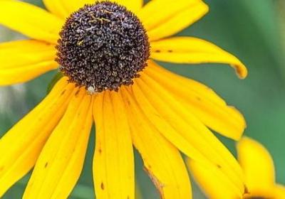 蓝湛经典语录(合集20句)