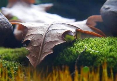 该来的总会来经典语录(汇总68句)