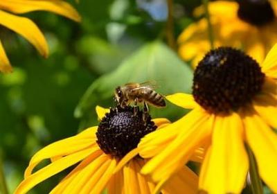 许文强经典语录(优选20句)