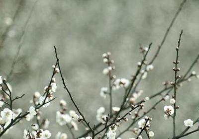 越长大越觉得经典语录(合集40句)