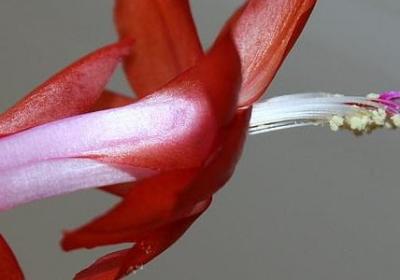 跟对人赢一世经典语录(必备21句)