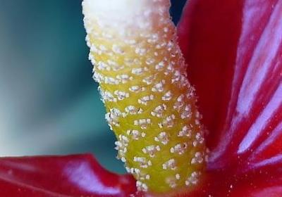 谁都靠不住的经典语录(40句)