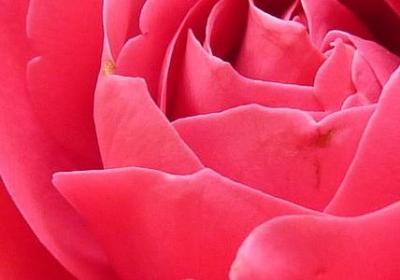 语言伤害的经典语录(汇总70句)