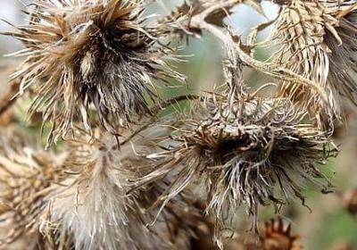 谁没有过去经典语录(推荐60句)