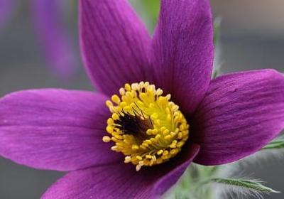 董卿朗读者经典语录(推荐30句)