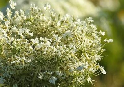 蜗居宋思明经典语录(优选50句)