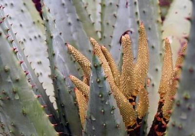 葬爱经典语录(推荐60句)