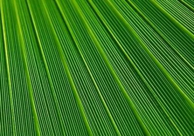 虚实之间经典语录(实用20句)