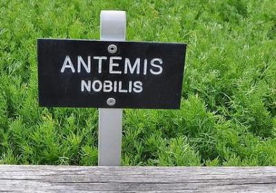 路的尽头经典语录(通用50句)