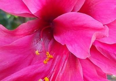 萤火之森经典语录(必备60句)