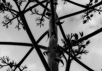 赶路人经典语录(优选20句)